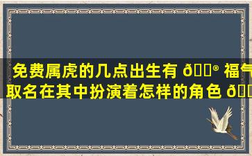 免费属虎的几点出生有 💮 福气取名在其中扮演着怎样的角色 🕷